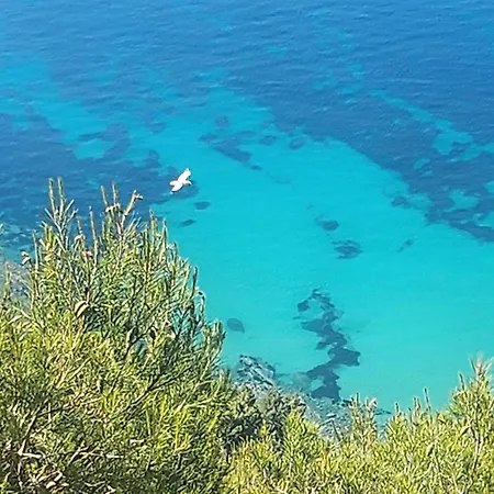 Vista Dall' Eden